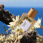 Load image into Gallery viewer, Goldfield & Banks Ingenious Ginger Unisex Eau De Parfum