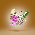 Load image into Gallery viewer, Xerjoff Alexandria III Unisex Parfum