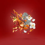 Load image into Gallery viewer, Xerjoff Casamorati Italica Unisex Eau De Parfum