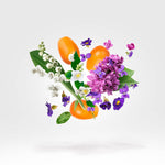 Load image into Gallery viewer, Xerjoff Casamorati Dama Bianca For Women Eau De Parfum