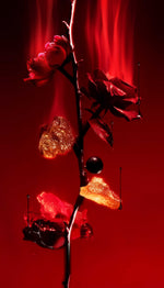 Load image into Gallery viewer, L'Entropiste Ensang Noir Unisex Eau De Parfum