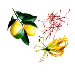 Load image into Gallery viewer, Ramon Monegal Faisa Unisex Eau De Parfum