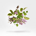 Load image into Gallery viewer, Xerjoff Kemi Blue Collection Holysm Unisex Parfum