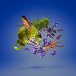 Load image into Gallery viewer, Xerjoff Casamorati Mefisto For Men Eau De Parfum