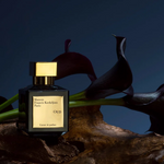 Load image into Gallery viewer, Maison Francis Kurkdjian Oud Unisex Extrait De Parfum