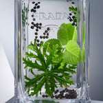 Load image into Gallery viewer, Prada L'homme For Men Eau De Toilette