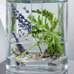 Load image into Gallery viewer, Prada Luna Rossa Carbon For Men Eau De Toilette