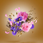 Load image into Gallery viewer, Xerjoff Alexandria II Anniversary Unisex Eau de Parfum