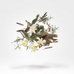 Load image into Gallery viewer, Xerjoff Kemi Collection Kemi Unisex Parfum