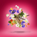 Load image into Gallery viewer, Xerjoff Coro Unisex Eau De Parfum