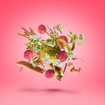 Load image into Gallery viewer, Xerjoff 17/17 Elle Anniversary For Women Parfum