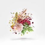 Load image into Gallery viewer, Xerjoff Zefiro Unisex Eau De Parfum