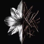 Givenchy L'interdit For Women Eau De Parfum Intense