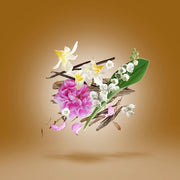 Xerjoff Alexandria III Unisex Parfum