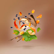 Xerjoff Richwood Unisex Eau De Parfum