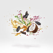 Xerjoff Casamorati Quattro Pizzi For Unisex Eau De Parfum