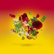 Xerjoff Casamorati Levar Del Sole For Unisex Eau De Parfum