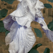 Byredo Eyes Closed Unisex Eau De Parfum