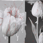 Load image into Gallery viewer, L'Entropiste Semence Douce Unisex Eau De Parfum