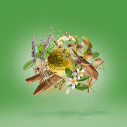 Xerjoff Casamorati Fiero For Men Eau De Parfum