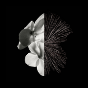 Givenchy Gentleman For Men Eau De Parfum