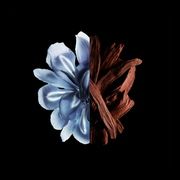 Givenchy Gentleman Reserve Privee For Men Eau De Parfum