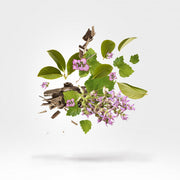 Xerjoff Kemi Blue Collection Holysm Unisex Parfum