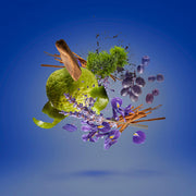 Xerjoff Casamorati Mefisto For Men Eau De Parfum