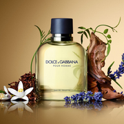 Dolce & Gabbana  Pour Homme Eau de Toilette