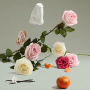 Penhaligon's The Coveted Duchess Rose For Women Eau De Parfum