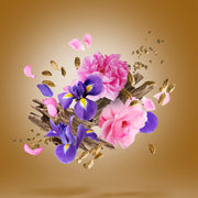 Xerjoff Alexandria II Anniversary Unisex Eau de Parfum