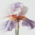 Load image into Gallery viewer, L'Entropiste Blanc Sada Unisex Eau De Parfum