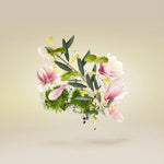 Load image into Gallery viewer, Xerjoff Casamorati  Fiore D&#39;Ulivo For Women Eau De Parfum
