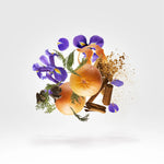 Load image into Gallery viewer, Xerjoff Sketchbook P.33 Blank Page Edition Unisex Parfum
